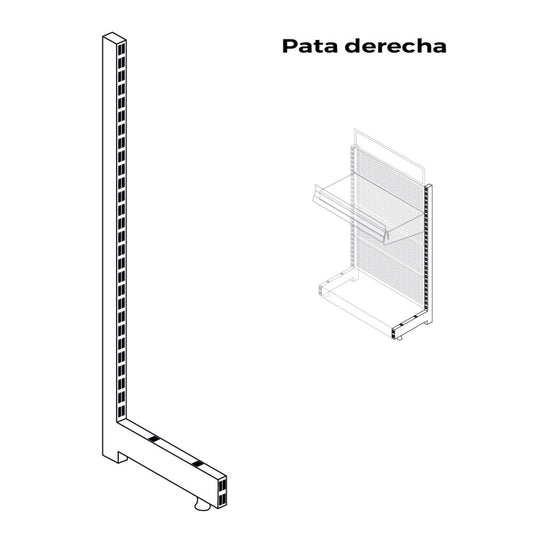 Pata derecha para expositor 00036