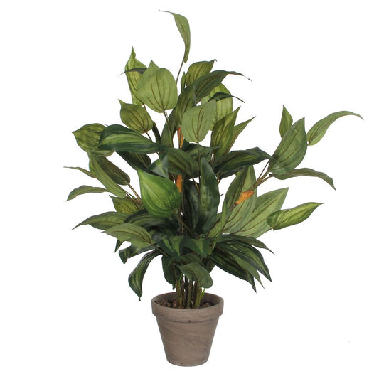 Maceta de hosta verde, 15,5 x 65 cm