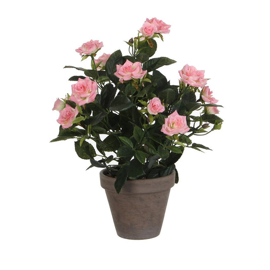 Maceta de rosal rosa, ø11,5 x 33 x 25 cm