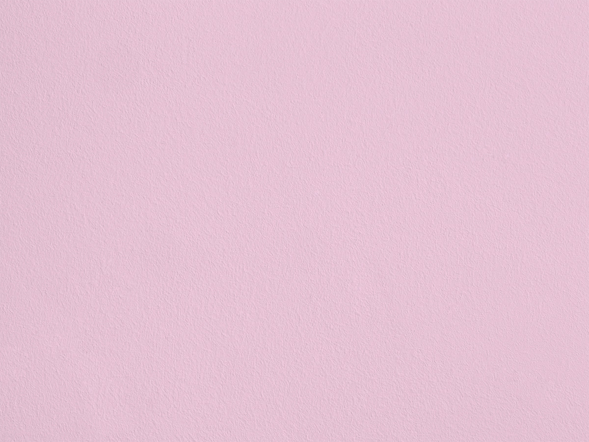 Rose Anna eqER03 — Colección Couleurs d'Enduit Romain