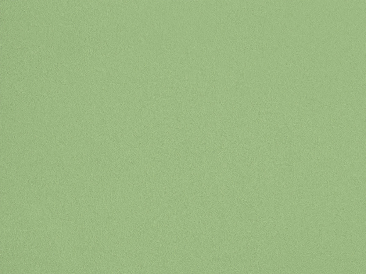 Frog eqER06 — Colección Couleurs d'Enduit Romain