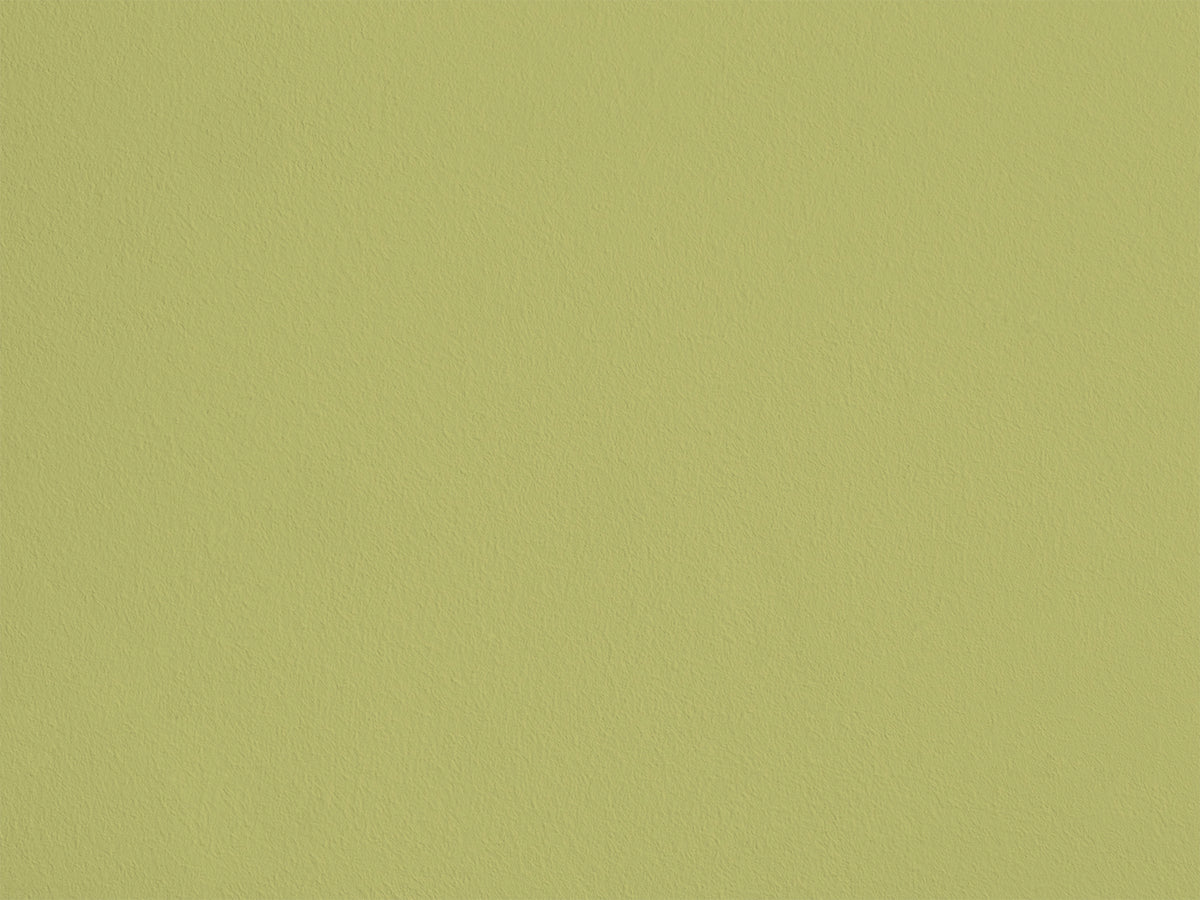Graine d'Anis eqER08 — Colección Couleurs d'Enduit Romain