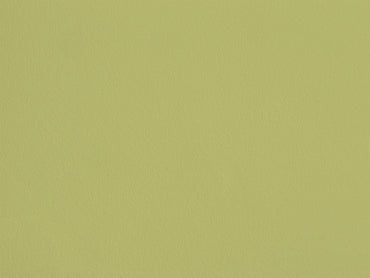 Graine d'Anis eqER08 — Colección Couleurs d'Enduit Romain