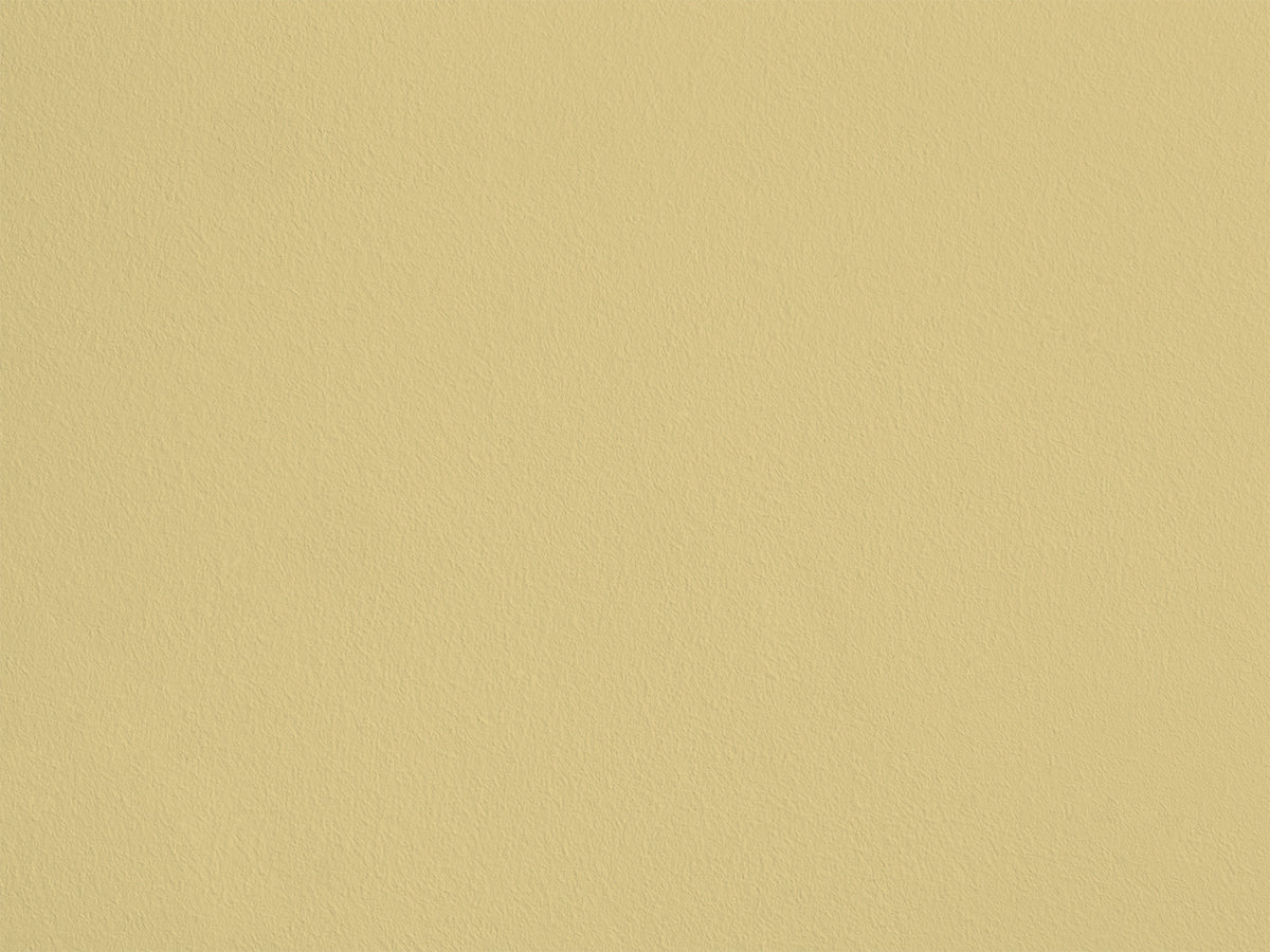 Steppe eqER44 — Colección Couleurs d'Enduit Romain