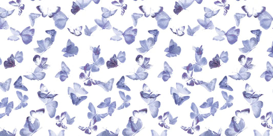 Battements D'Ailes BDA06 — papel pintado Ressource Sauvage