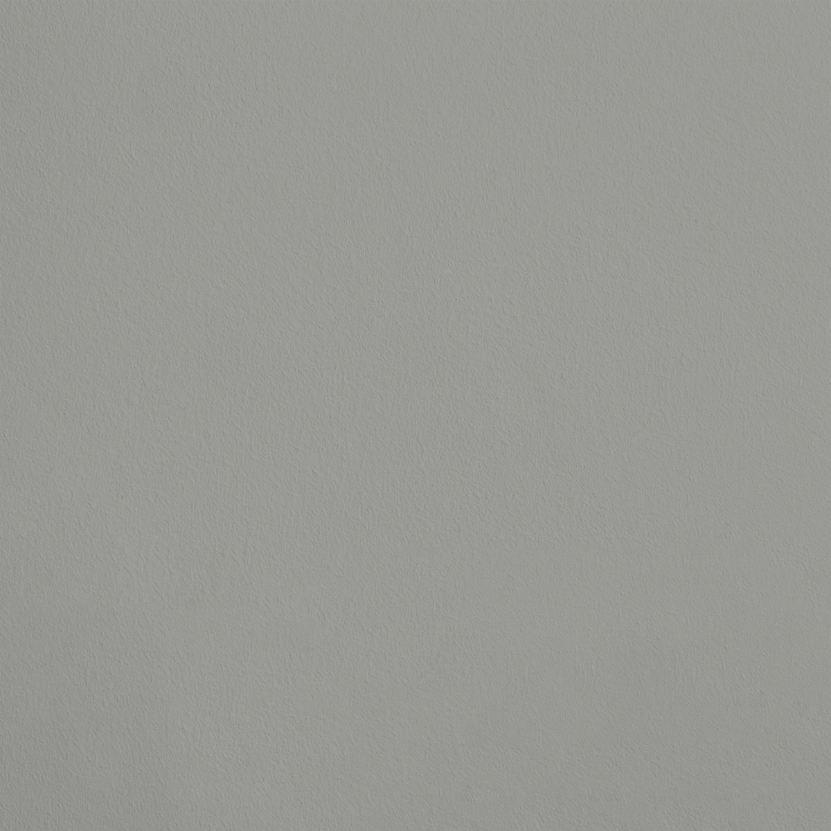 Le Régal R018 aplicado en pared — Ressource
