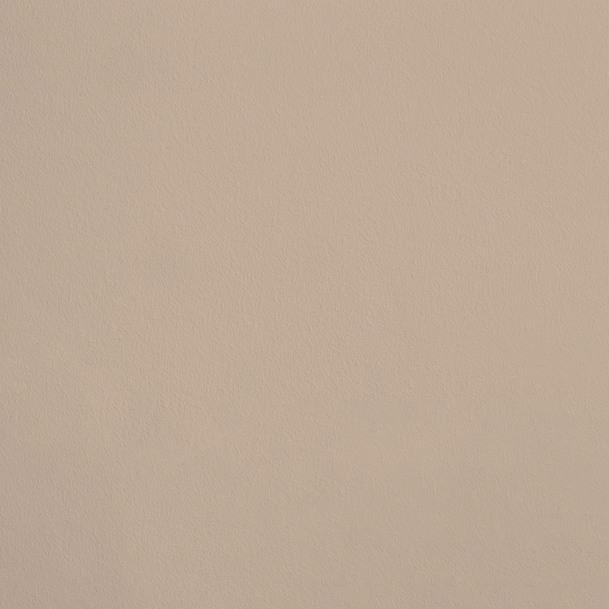 La Félicité R027 aplicado en pared — Ressource