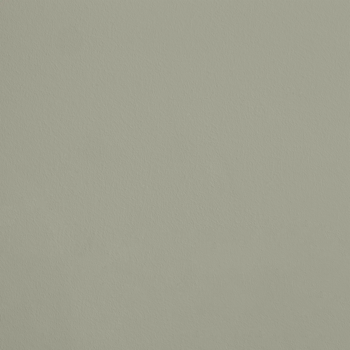 La Complicité R081 aplicado en pared — Ressource