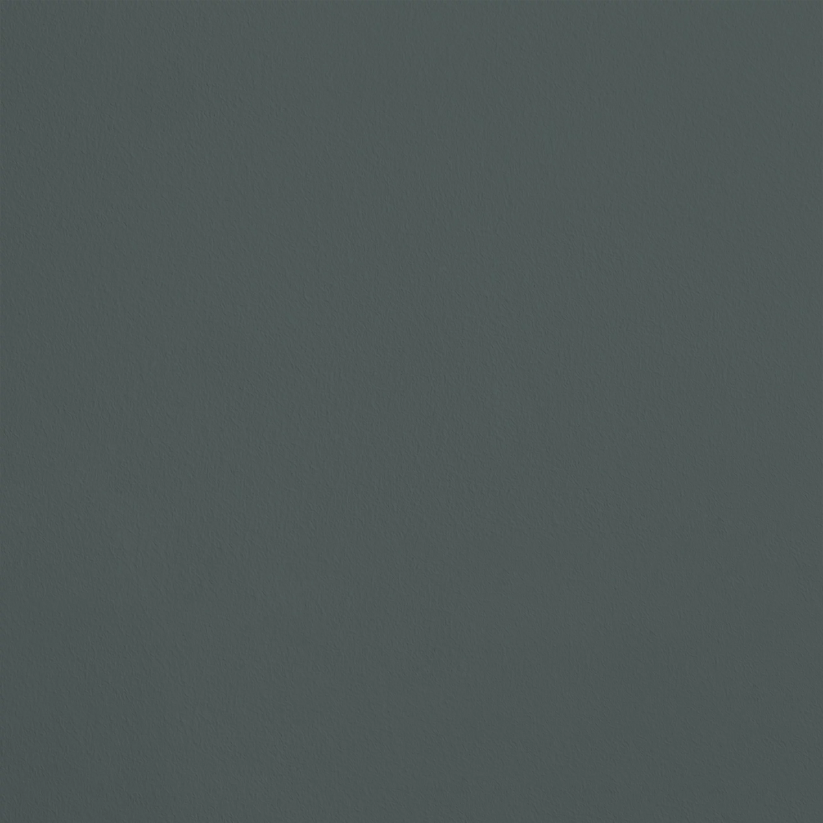 L'Intrigue R089 aplicado en pared — Ressource