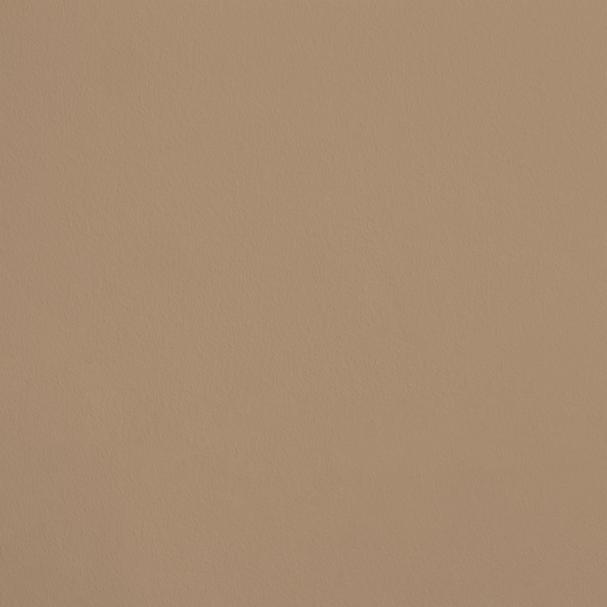 Le Portrait R137 aplicado en pared — Ressource