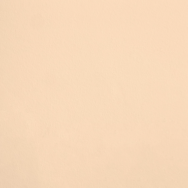Le Dessert R141 aplicado en pared — Ressource