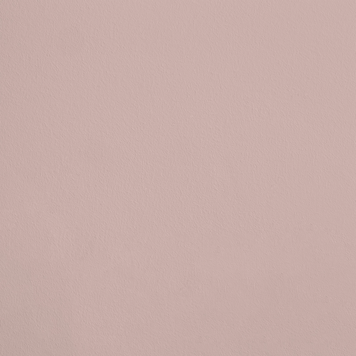 La Frimousse R251 aplicado en pared — Ressource