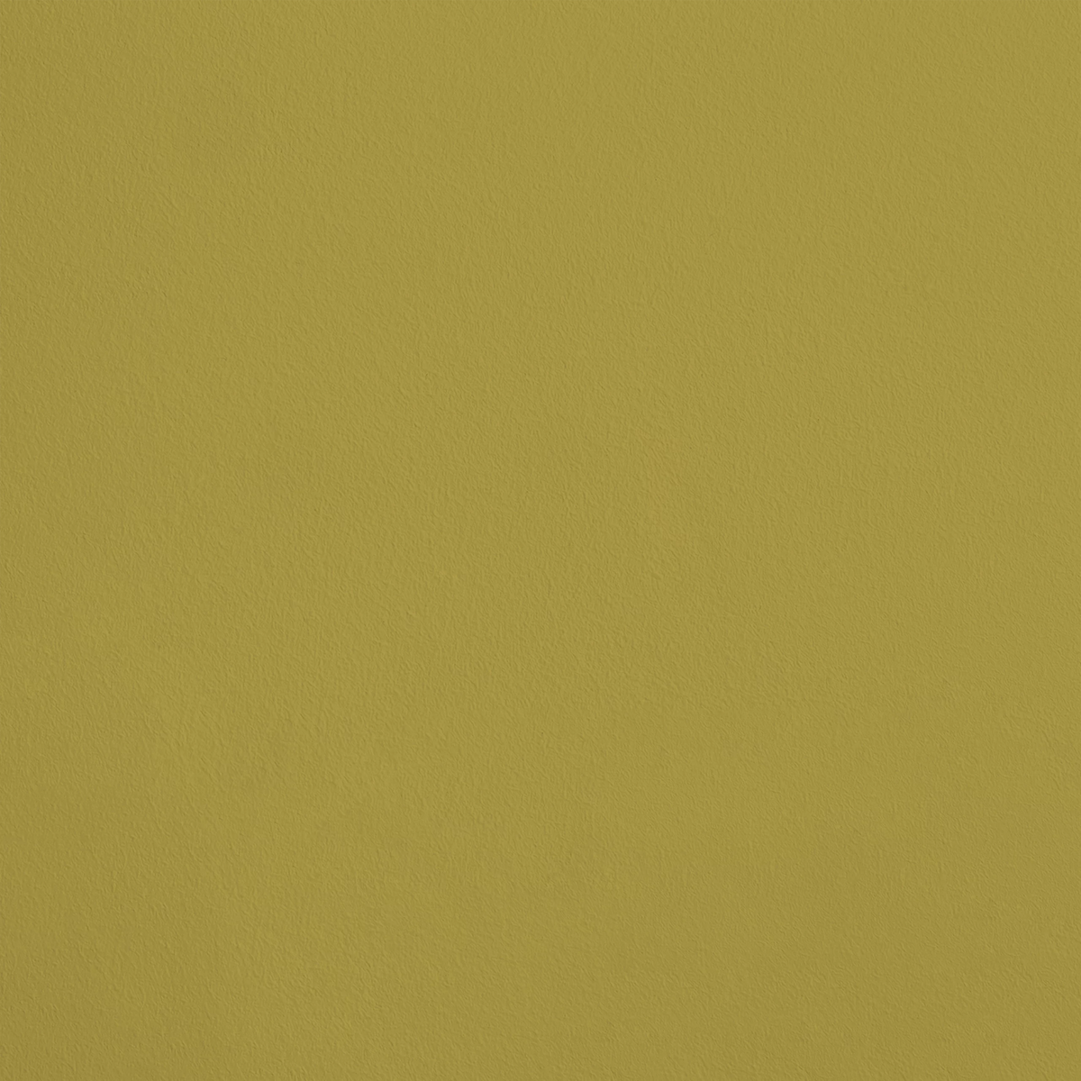 L'Euphorbe R264 aplicado en pared — Ressource