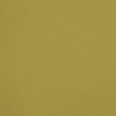 L'Euphorbe R264 aplicado en pared — Ressource