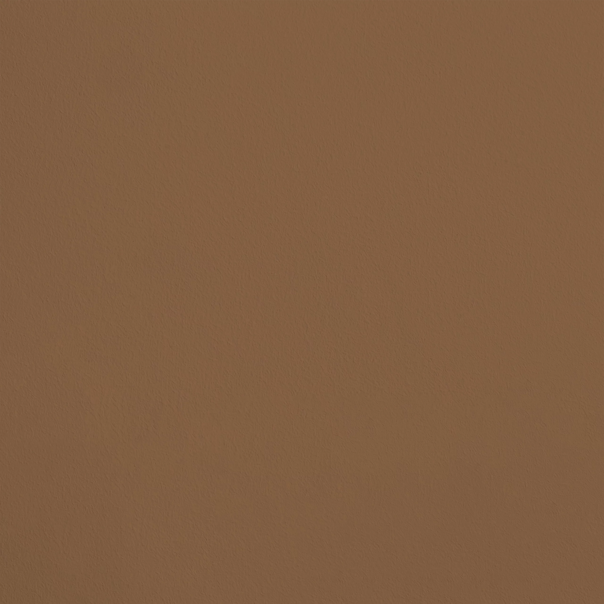 Le Mécène R273 aplicado en pared — Ressource