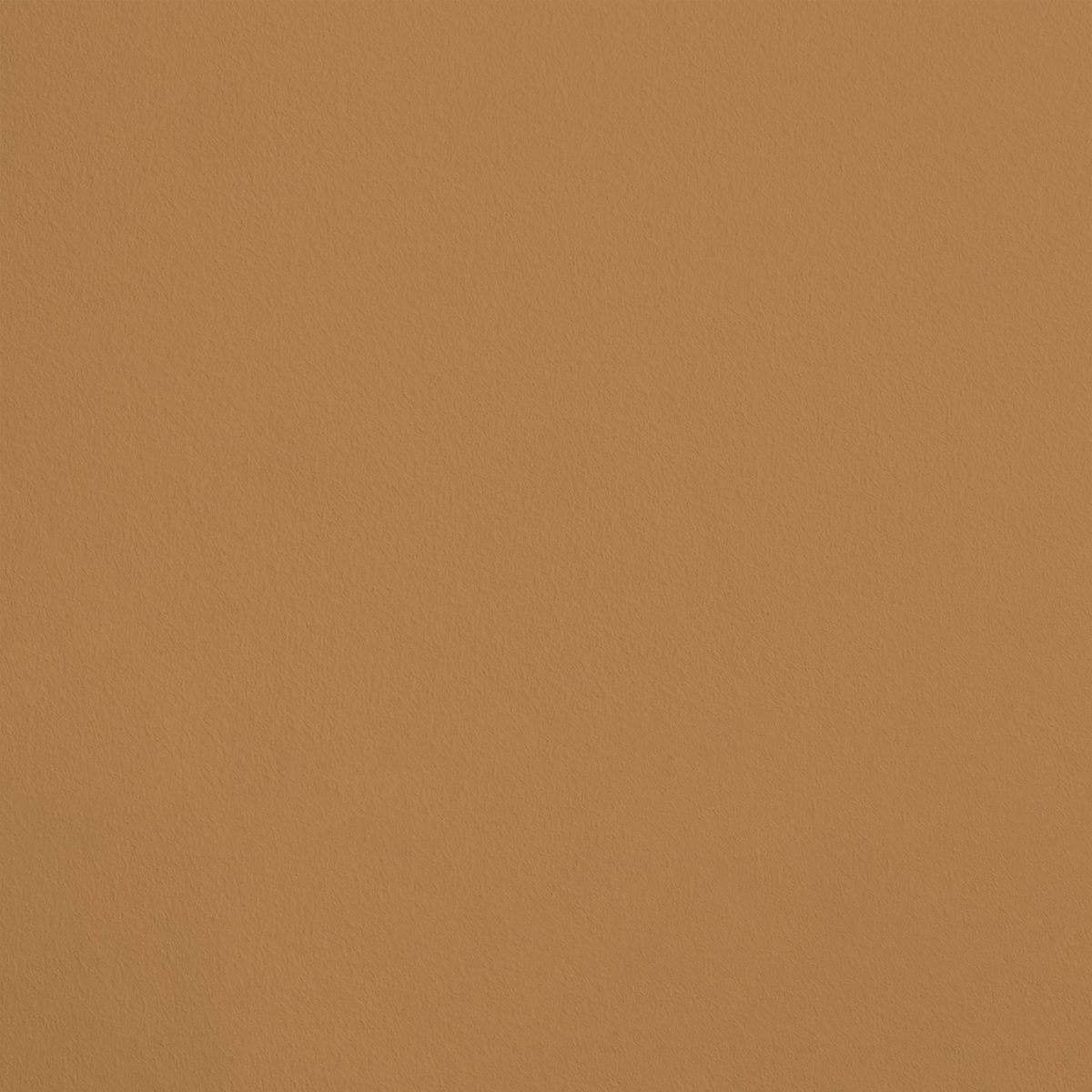 Le Nectar R307 aplicado en pared — Ressource