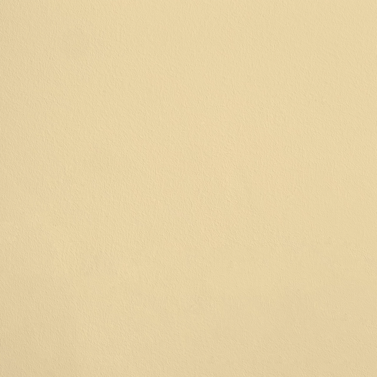 La Madeleine R315 aplicado en pared — Ressource