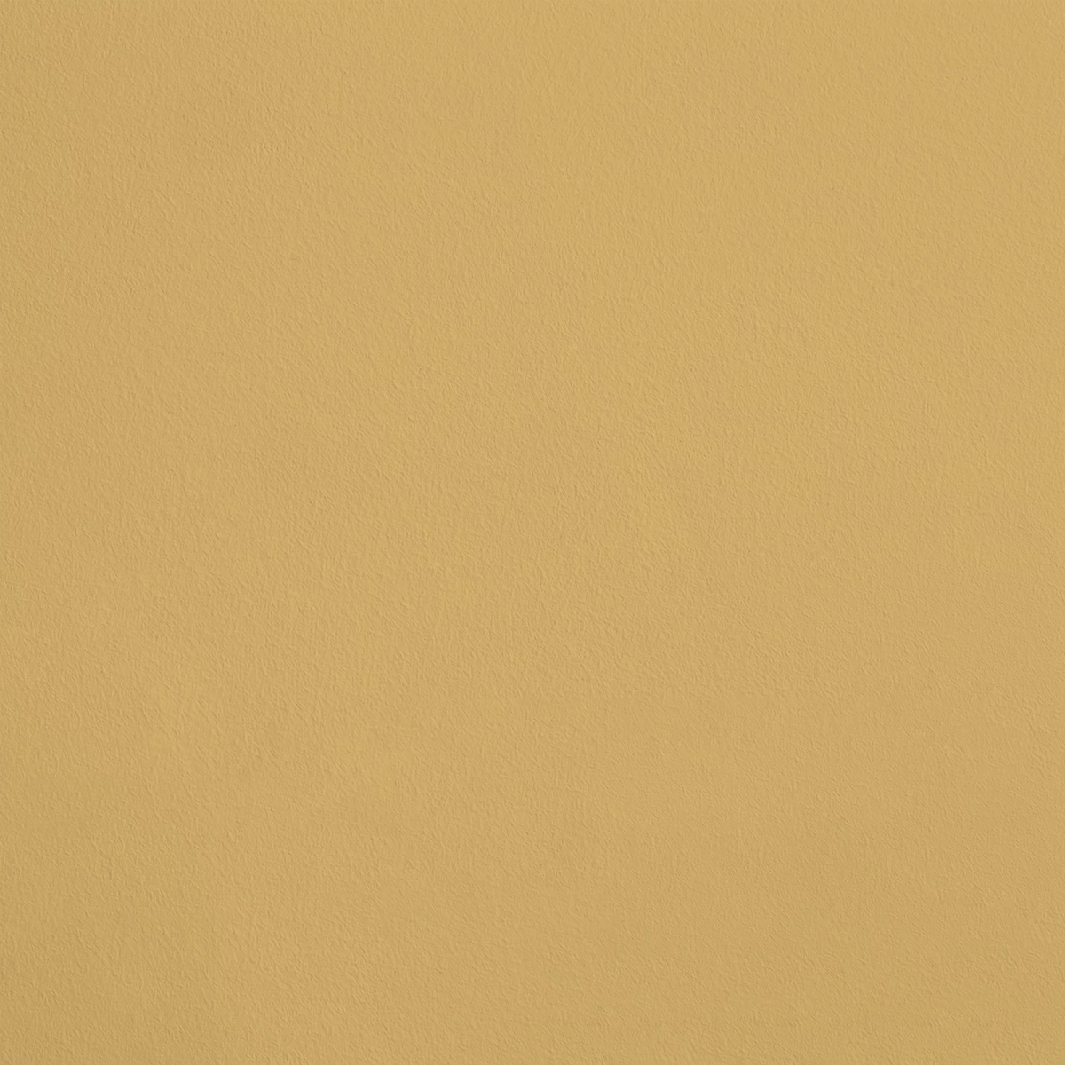 Le Parchemin R318 aplicado en pared — Ressource