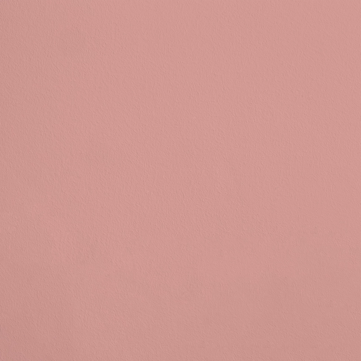 Le Délice R328 aplicado en pared — Ressource