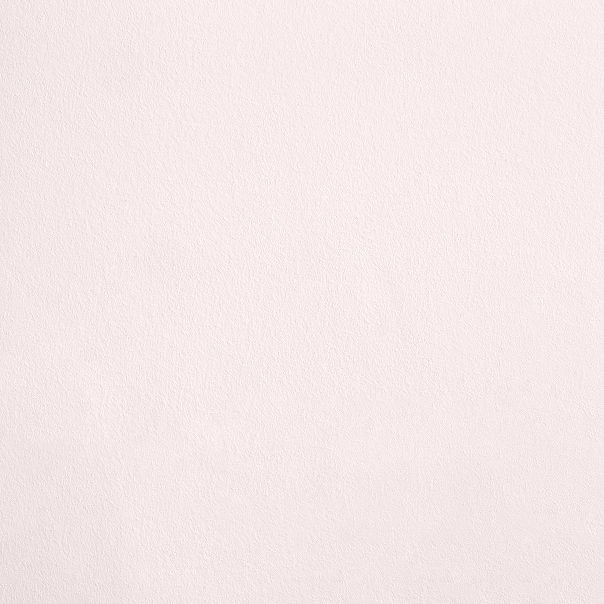 La Pudeur R333 aplicado en pared — Ressource