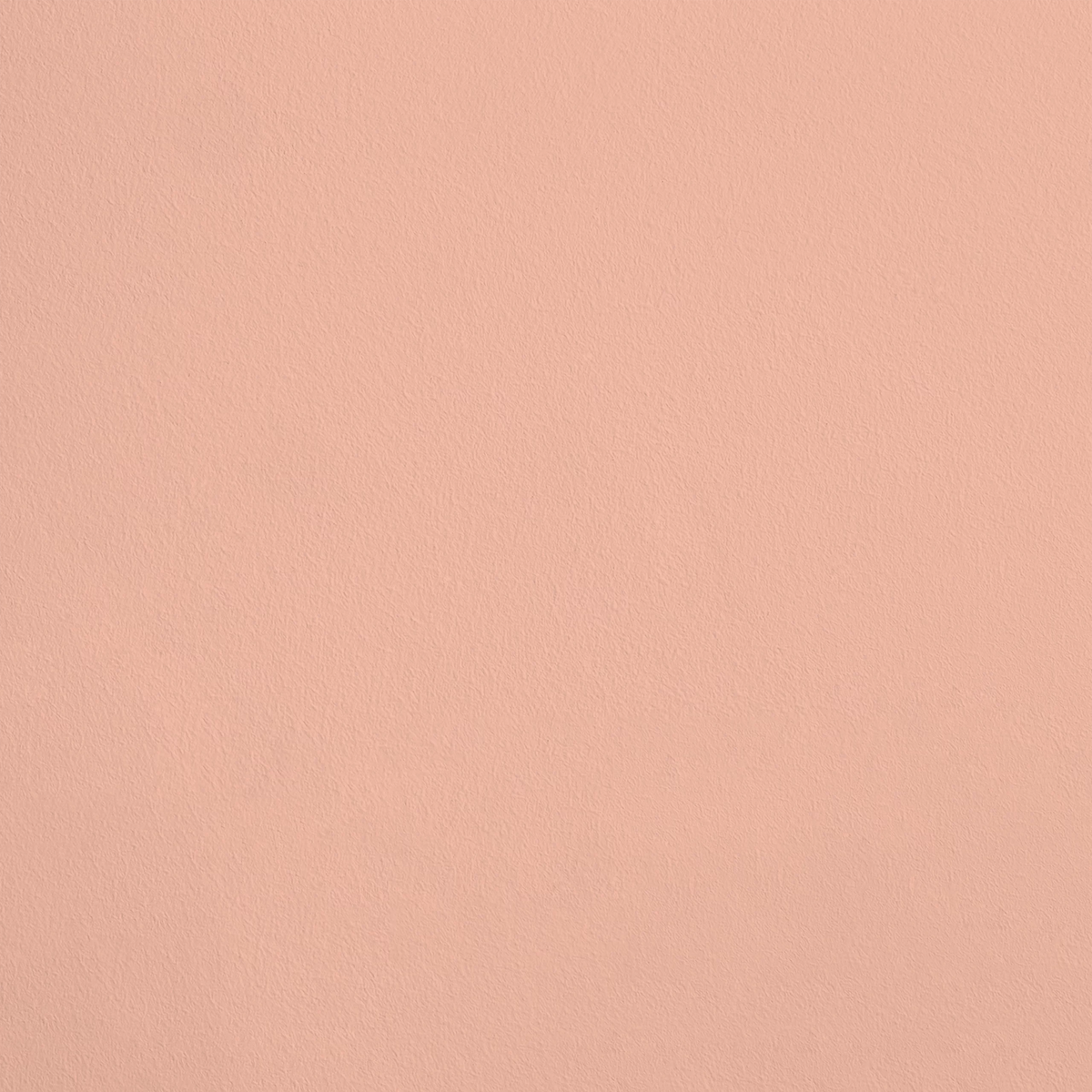 La Gourmande R344 aplicado en pared — Ressource