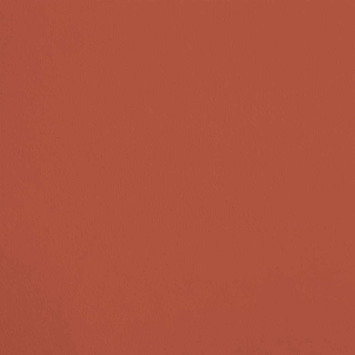 Le Charbon Ardent R404 aplicado en pared — Ressource
