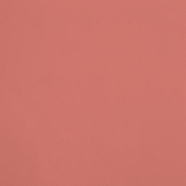 Le Polisson R410 aplicado en pared — Ressource