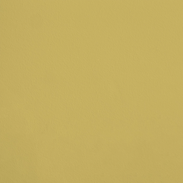 La Préciosité R411 aplicado en pared — Ressource