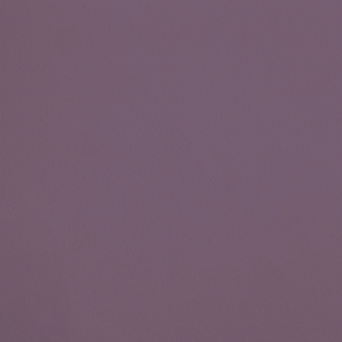 La Tentation R412 aplicado en pared — Ressource