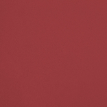 Le Cupidon R451 aplicado en pared — Ressource