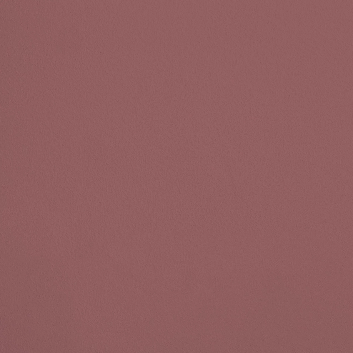 Le Festin R455 aplicado en pared — Ressource