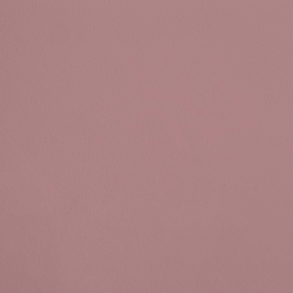 Le Pétale R486 aplicado en pared — Ressource