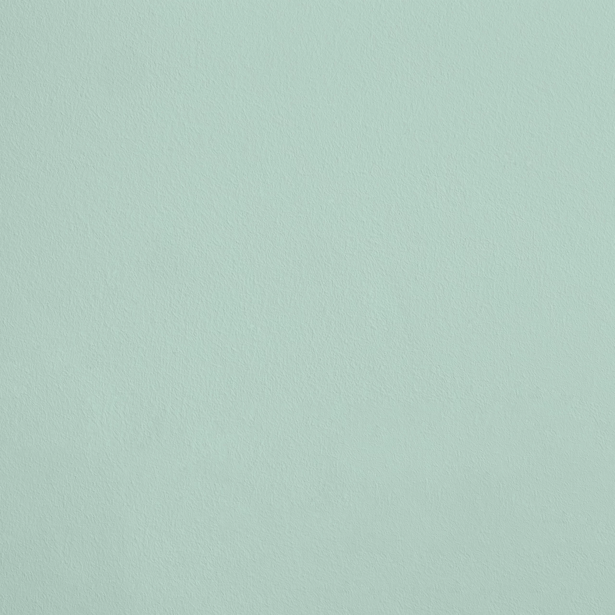 La Flâneuse R516 aplicado en pared — Ressource