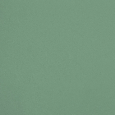 La Surprise R638 aplicado en pared — Ressource