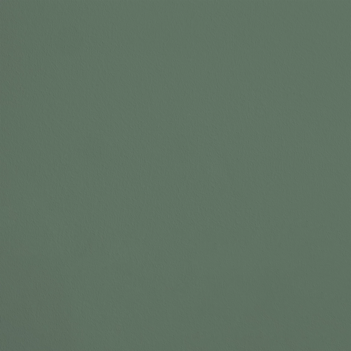 La Mangrove R671 aplicado en pared — Ressource