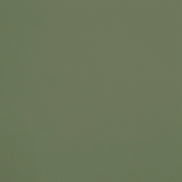 Le Rameau R675 aplicado en pared — Ressource