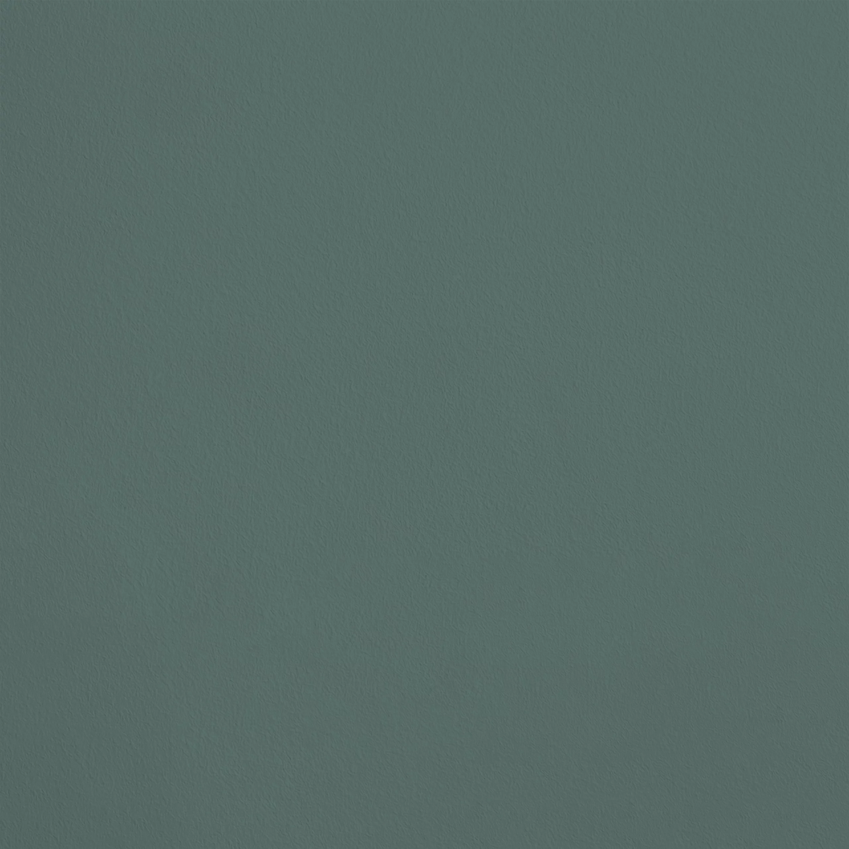 Le Témoin R736 aplicado en pared — Ressource