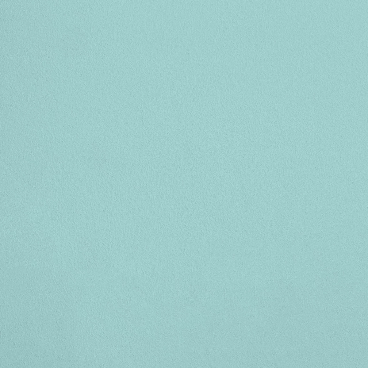 Le Matin R801 aplicado en pared — Ressource