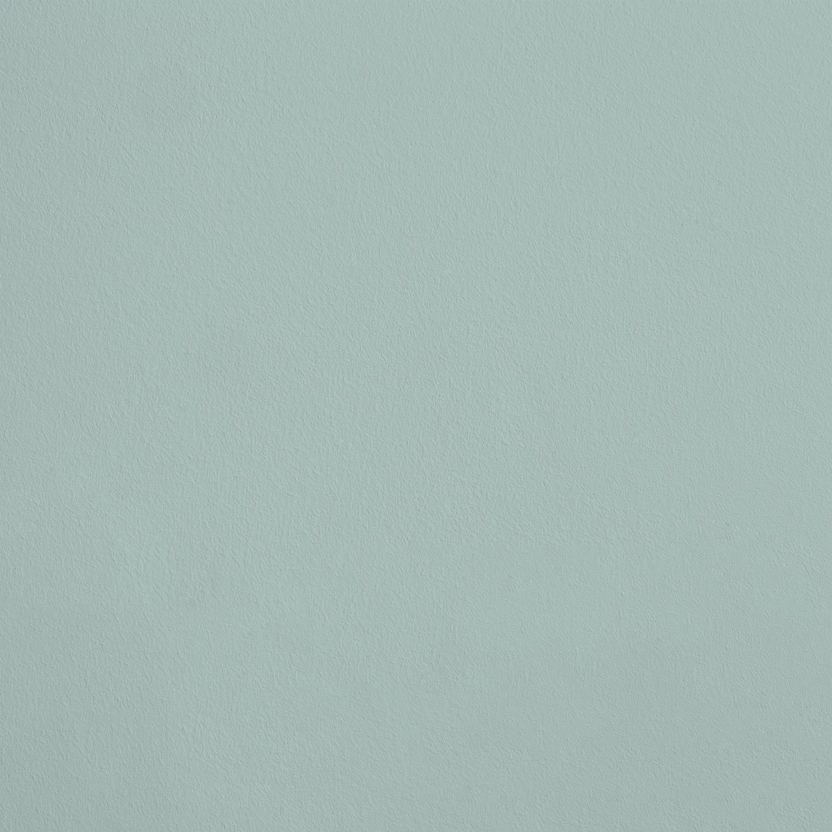 La Psyché R895 aplicado en pared — Ressource
