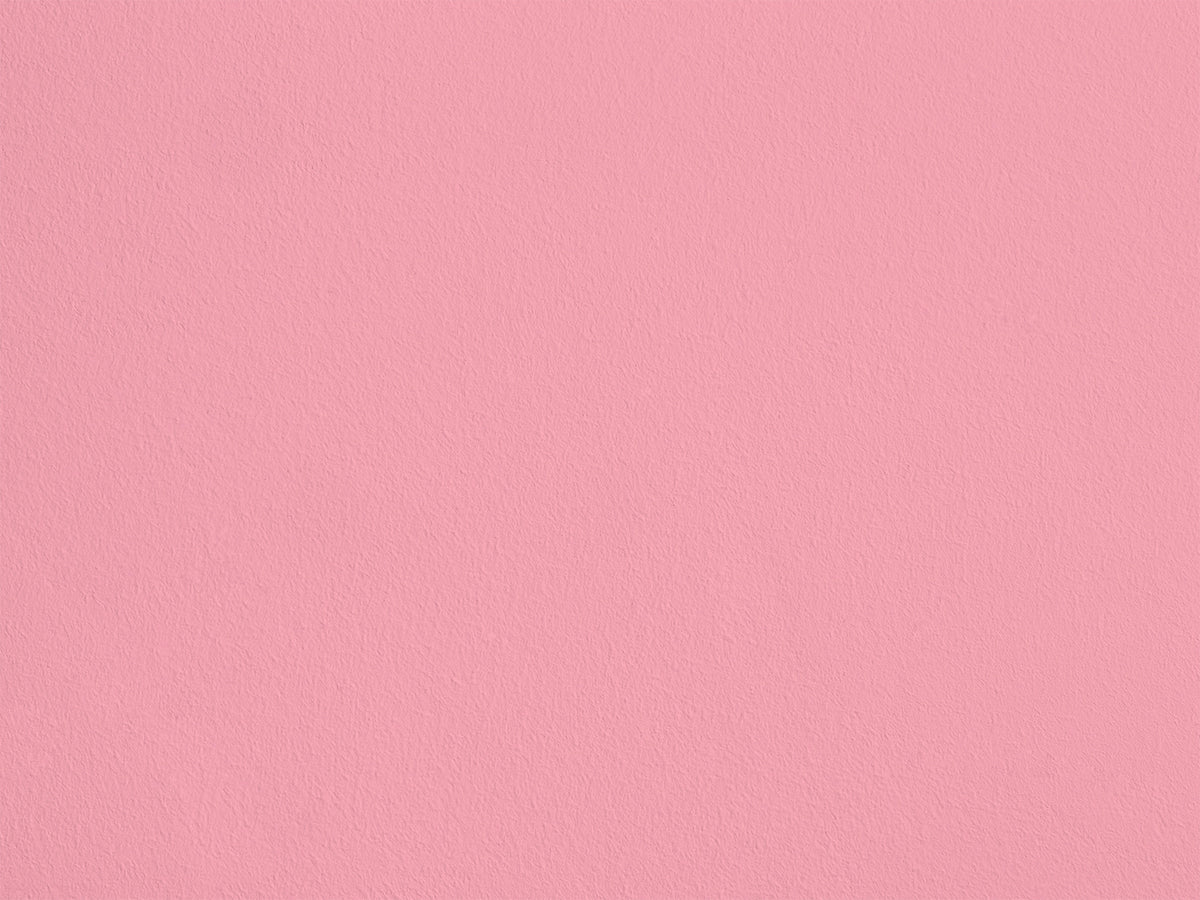 Rose d'Amour SL17 — Colección Maison Sarah Lavoine