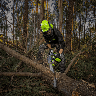 Tronçonneuse 55 cc Plus VITO