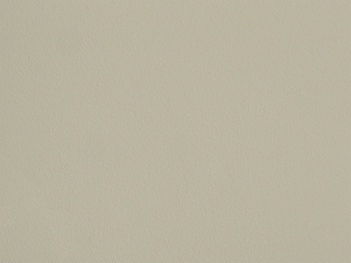 Saule Blanc AP05 — Colección Antoinette Poisson