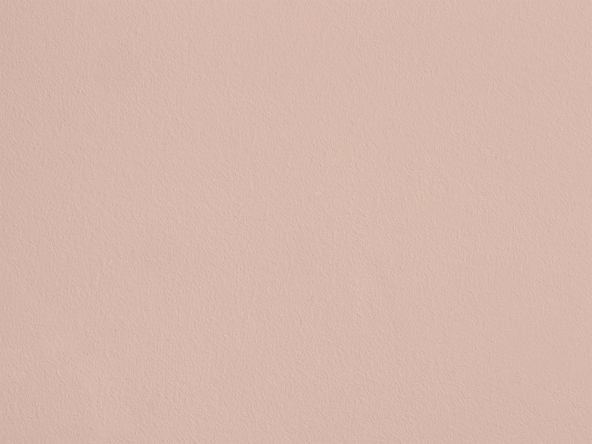 Rosette AP09 — Colección Antoinette Poisson