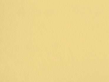 Bouton de Jonquille AP19 — Colección Antoinette Poisson