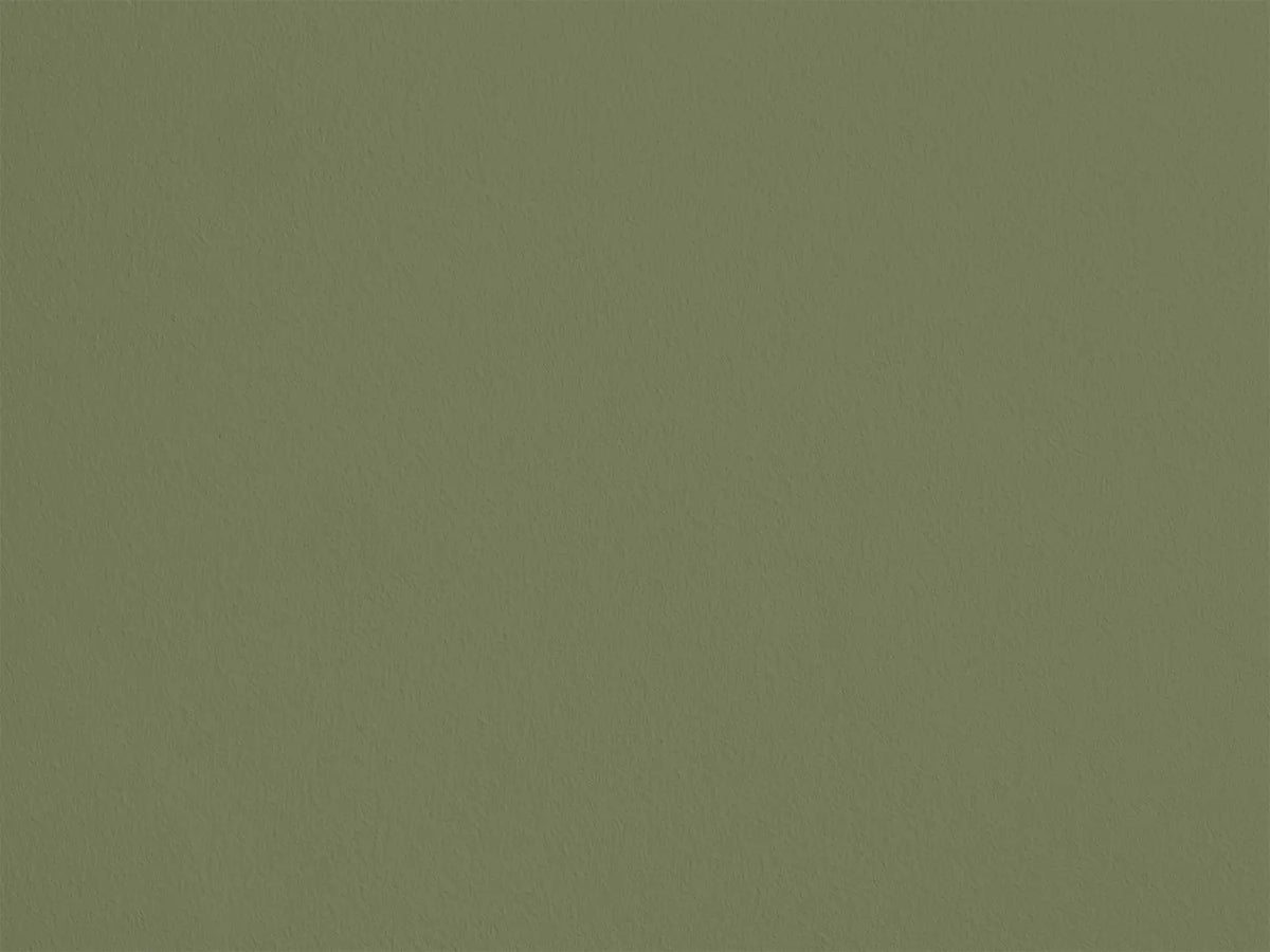 Petite Grenouille AP21 — Colección Antoinette Poisson