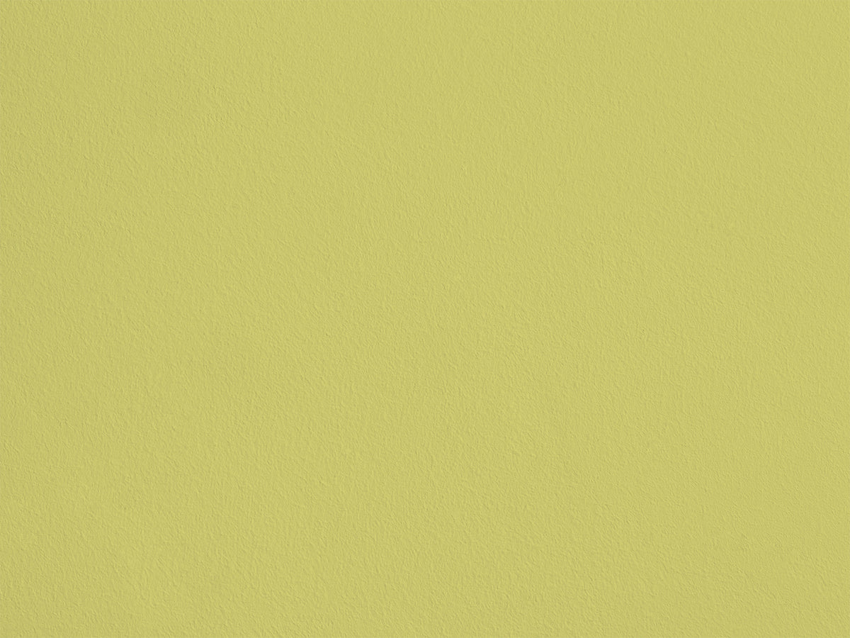 Cédrat eqRMDV29 — Colección Couleurs de Chaux Maison de Vacances