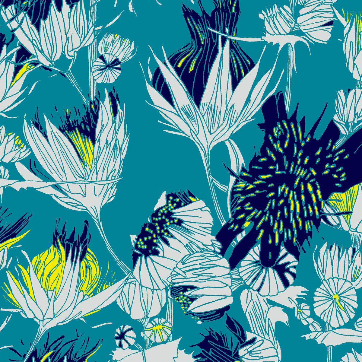 Pissenlits P02 en ambiente