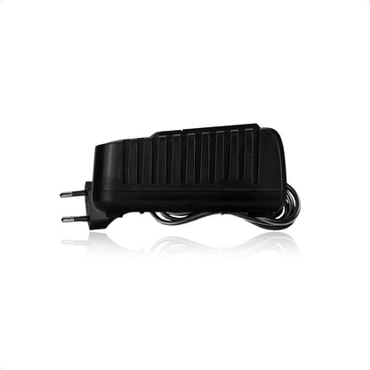 Werku WK403550 Cargador Rápido Doble 20V 130W USB
