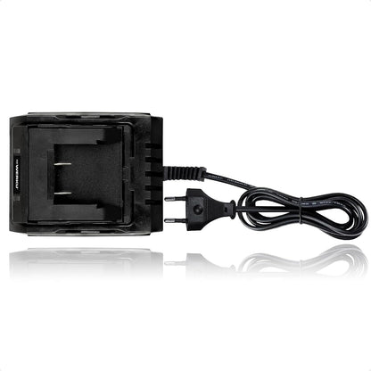 Werku WK403480 Cargador Rápido Baterías 20V 60W