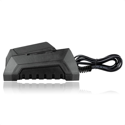 Werku WK403480 Cargador Rápido Baterías 20V 60W